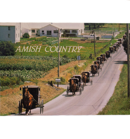 The Amish Country Postcard