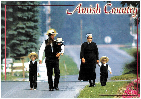 Greetings from the Amish Country Postcard