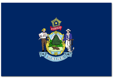 Maine State  4" x 6" Flag