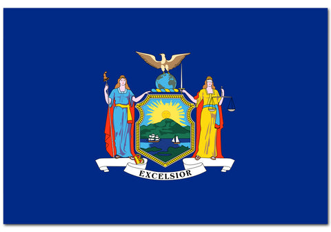New York State  4" x 6" Flag