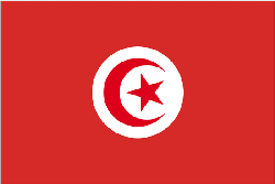 Tunisia 4" x 6" Flag