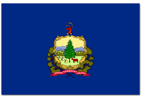 Vermont State  4" x 6" Flag