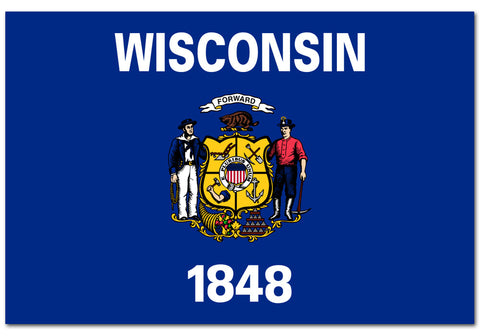 Wisconsin State  4" x 6" Flag