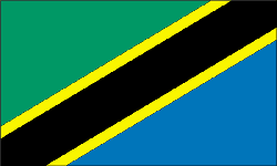 Tanzania 4" x 6" Flag