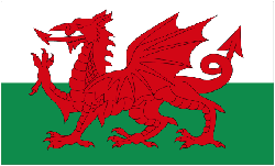 Wales 4" x 6" Flag