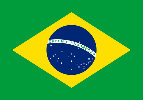 Brazil 4" x 6" Flag