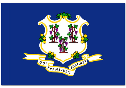 Connecticut State  4" x 6" Flag