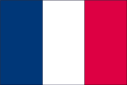 France 4" x 6" Flag