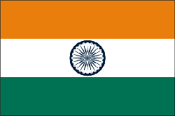 India 4" x 6" Flag
