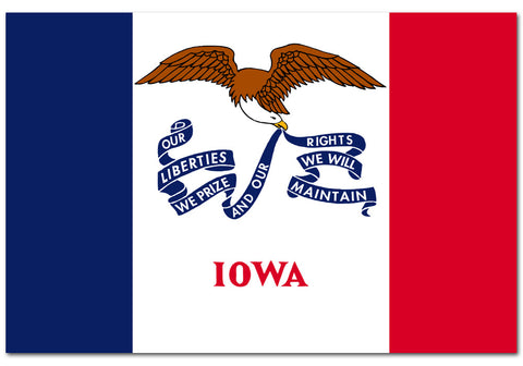 Iowa State  4" x 6" Flag