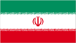 Iran 4" x 6" Flag