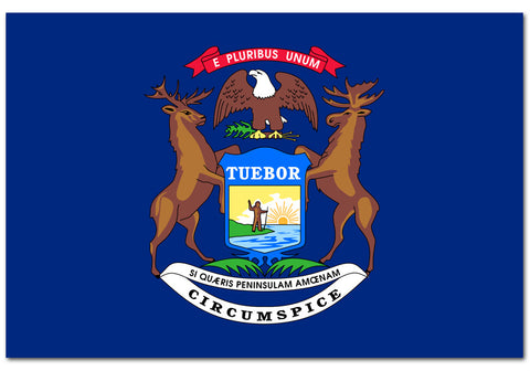 Michigan State  4" x 6" Flag