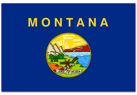 Montana State  4" x 6" Flag