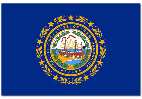 New Hampshire State  4" x 6" Flag
