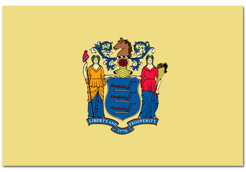 New Jersey State  4" x 6" Flag