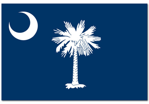 South Carolina State  4" x 6" Flag