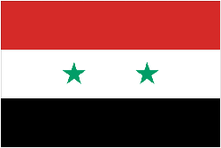 Syria 4" x 6" Flag