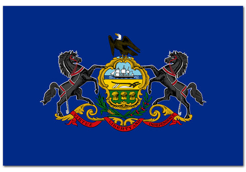  Pennsylvania State 4" x 6" Flag