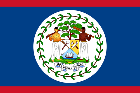 Belize 4" x 6" Flag