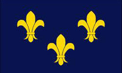 French Fleur-De-Lis 4" x 6" Nyl-Glo Flag
